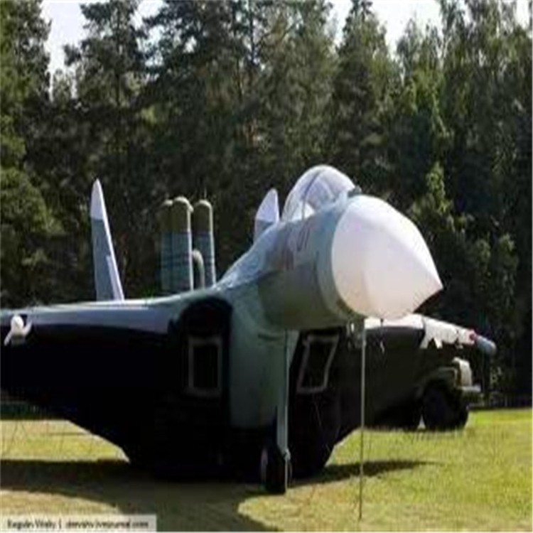 合肥充气模型飞机制造商家